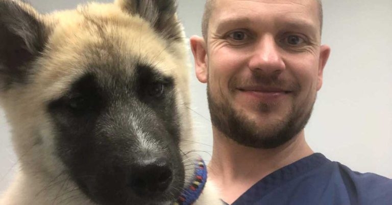 Vets4Pets team members join together in memory of ‘extraordinary’ RVN and JVP