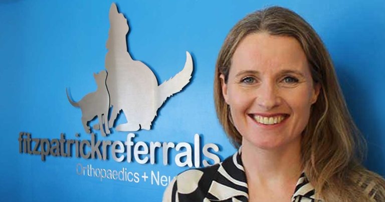 New hospital director at Fitzpatrick Referrals