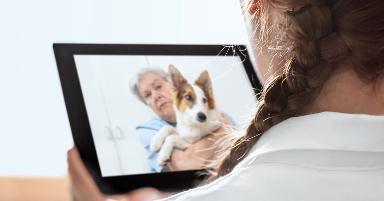 SPVS raises remote prescribing ‘cherry picking’ fears