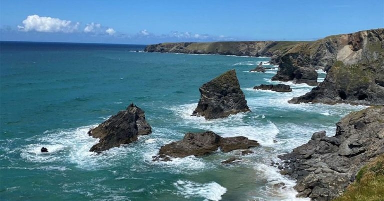 Cornish vets group to make £10k Vetlife donation