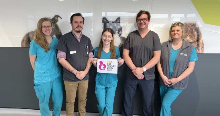 Cat care gold for Southfields Veterinary Specialists