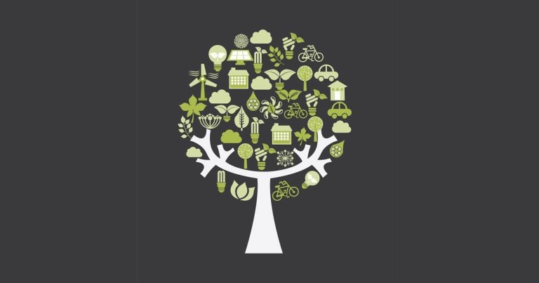 RCVS issues new sustainability guidance
