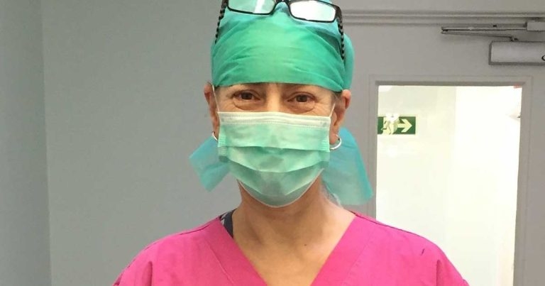 VN celebrates 50 years with animal hospital