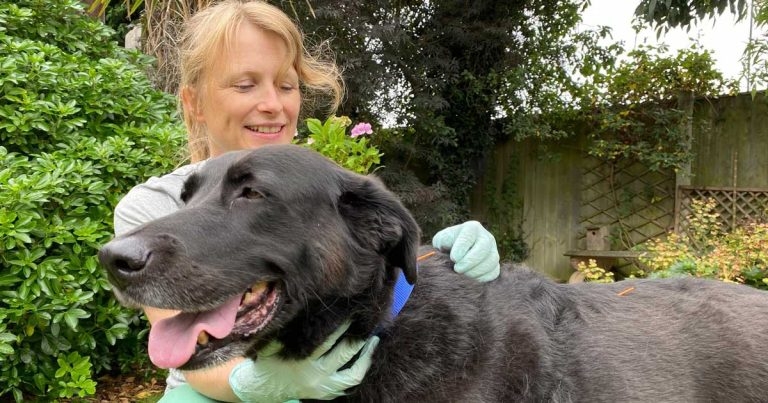 Nottinghamshire vet to take on Pennines cycling challenge