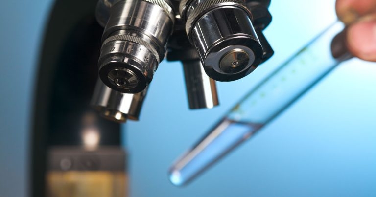 BSAVA PetSavers launches PhD fund-raiser to mark World Vet Day