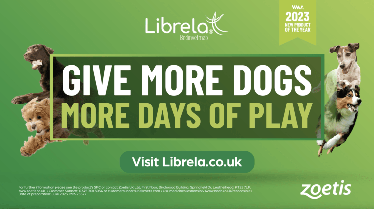 Give more dogs more days of play with Librela