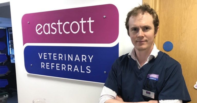 New head of neurology for Eastcott