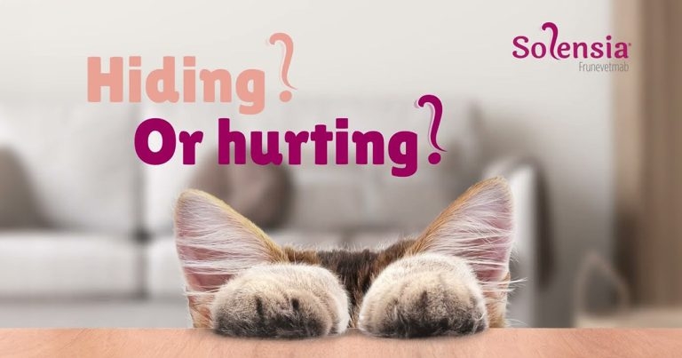 Hiding or Hurting?