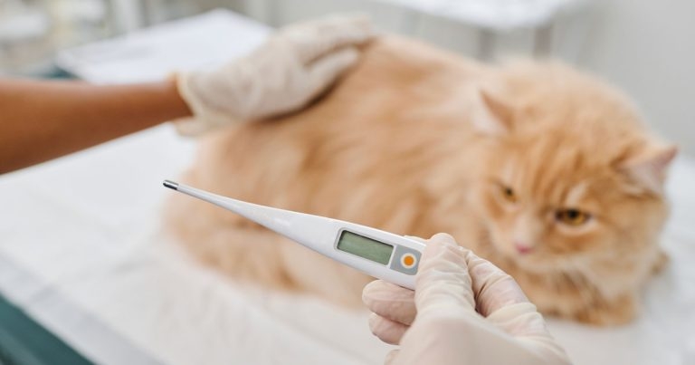 Axillary thermometers offer faster, smoother treatment, American study claims