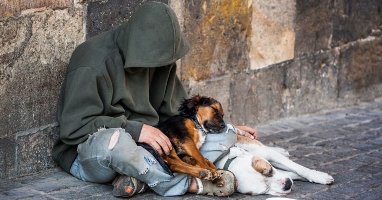 Researchers urge removal of potential support barriers for homeless dog owners