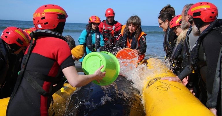 RVN urges more budding marine medics to get involved