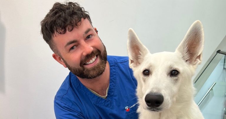 London Vet Specialists appoints new head of nursing services