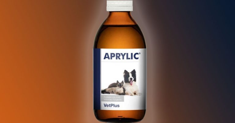 VetPlus launches supplement to boost brain health in cats and dogs