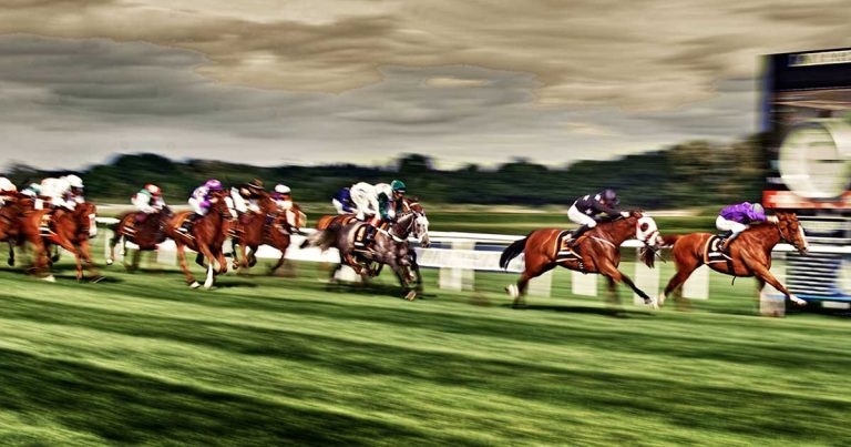 Racing vet’s welfare plea: ‘If you can’t do the right thing, don’t bloody do it’