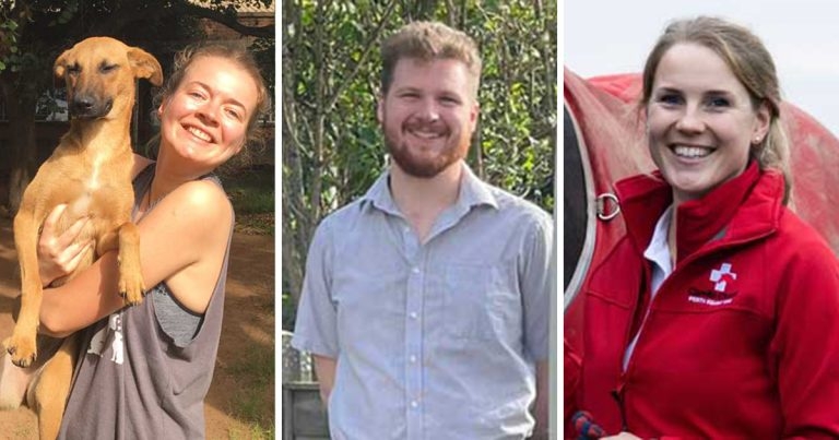 BVA announces its 2023 Young Vet of the Year finalists