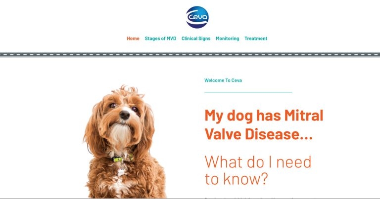 Website aims to educate owners on mitral valve disease