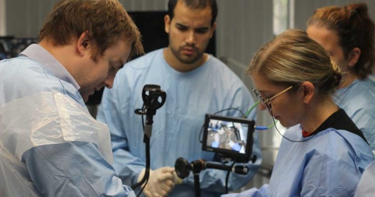 UK’s first PGCert in soft tissue surgery to launch in 2024