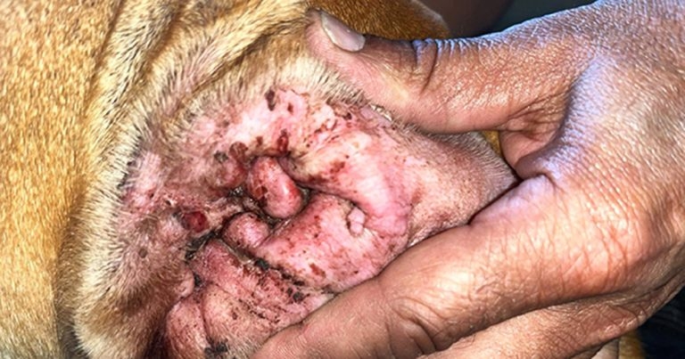 Dermatology and ‘under care’ – a multifactorial approach
