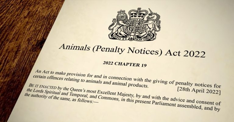 New legislation introduces penalty notices for animal health and welfare offences