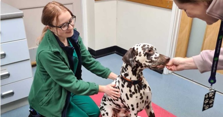 Langford Vets signs up to Dog Friendly Clinic Scheme
