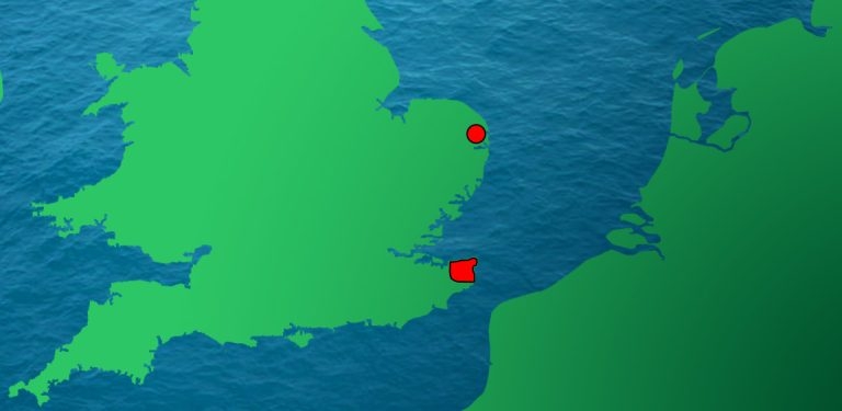 Officials confirm eight more bluetongue cases in England