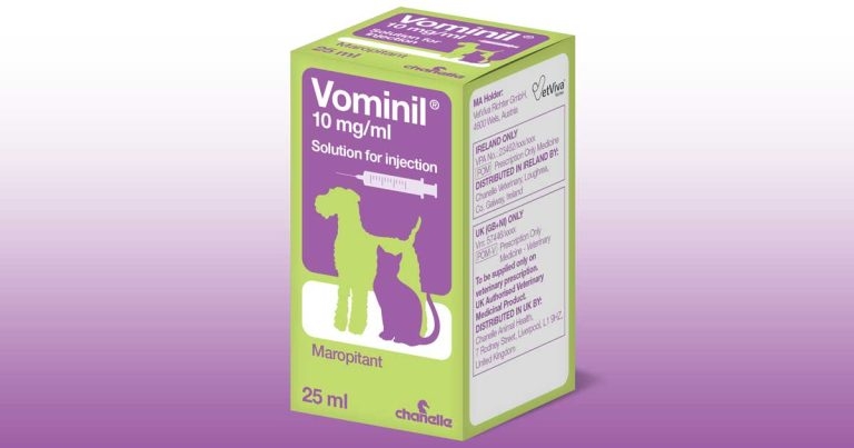 Chanelle launches antiemetic injection for dogs and cats