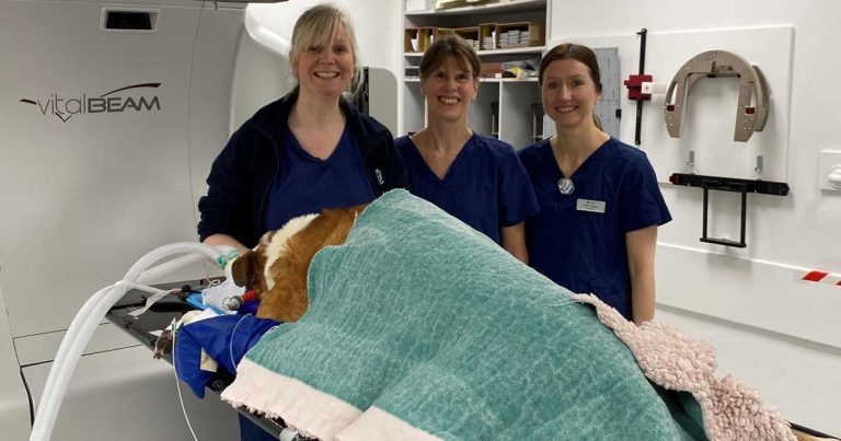 Glasgow vet school hospital unveils new £1.7 million radiotherapy machine