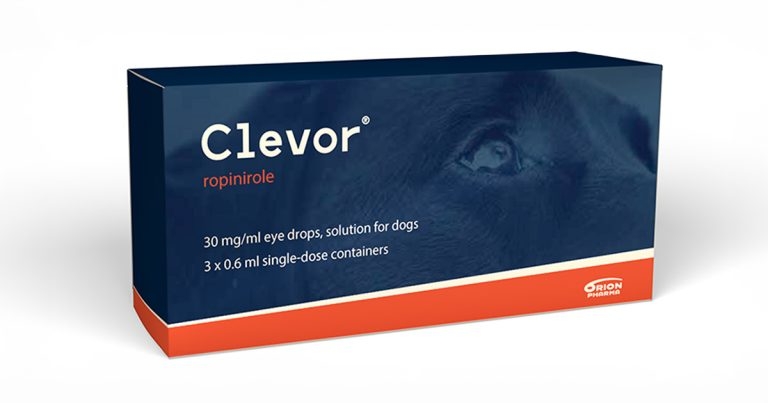 Animalcare launches fast-acting emetic ahead of Easter poisonings spike