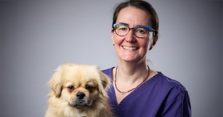 Ep 107: Latest on companion animal analgesia, with Karen Walsh