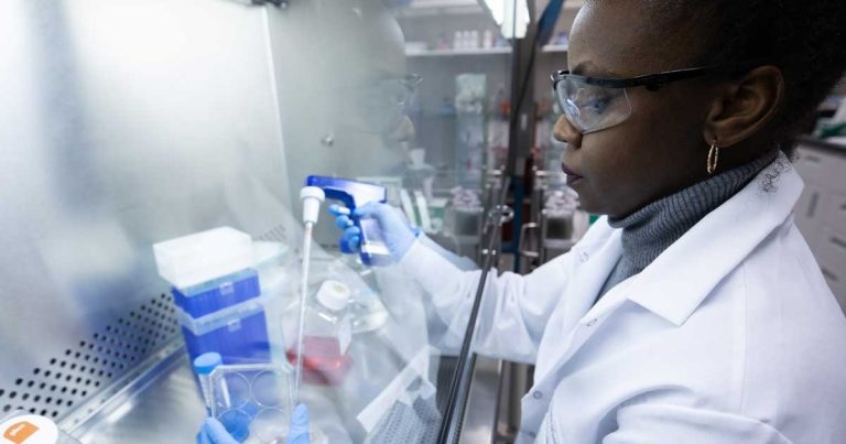 ‘Life-changing’ tool for animal bone re-growth takes shape