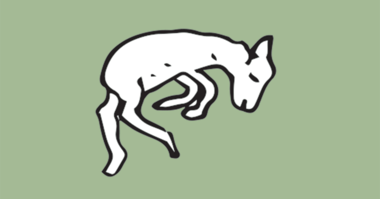 Ovine infectious abortion – how to deal with outbreaks