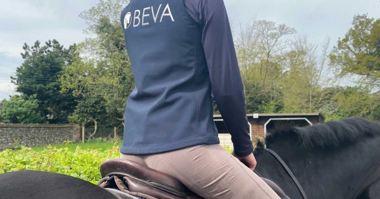 Course to provide support for equine vets