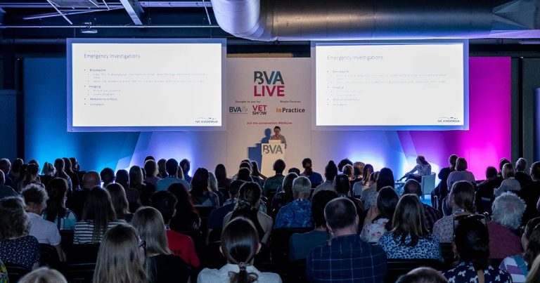 Contextualised care focus for BVA Live 2024