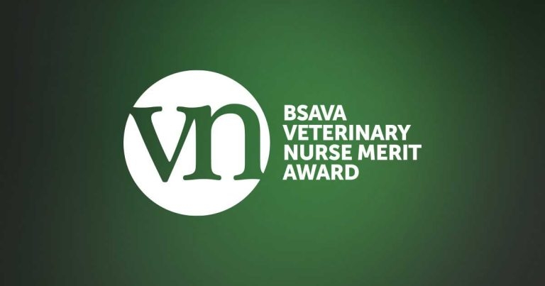 BSAVA unveils new VN dentistry award