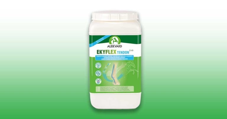 Audevard introduces equine supplement to boost tendon and ligament strength