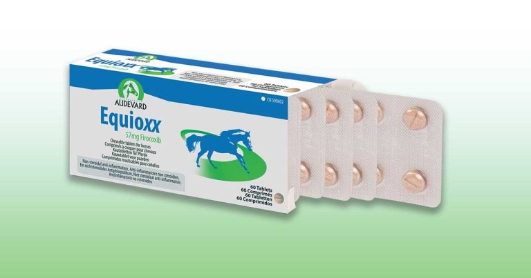 New format for horse NSAID Equioxx