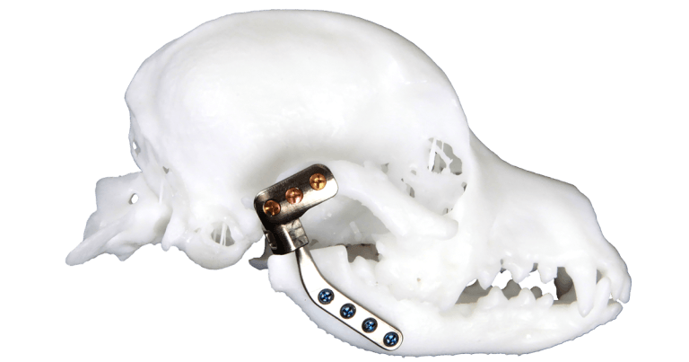 Vets pioneer jaw joint replacement implant for cats and dogs