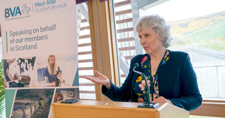 BVA leader slams veterinary sector’s portrayal as ‘scammers’