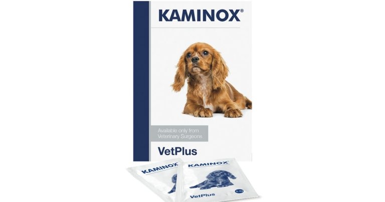 VetPlus launches nutraceutical sachets to support potassium intake