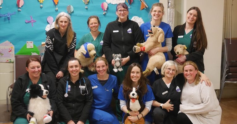 Edinburgh practice hosts pet first aid evening