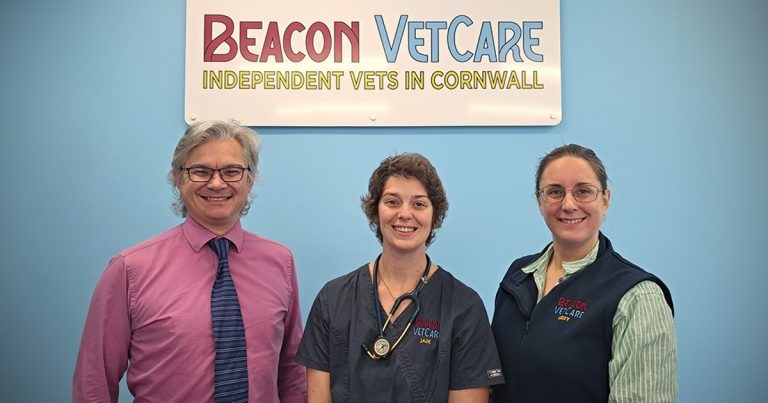 Practice Profile: Beacon VetCare