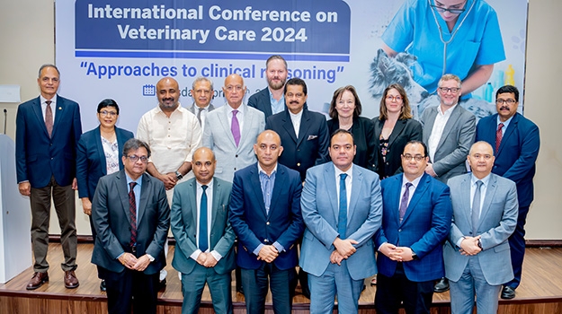 RVC delegation in UAE to support veterinary education
