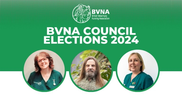 New faces elected to BVNA council board
