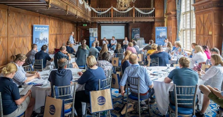‘Go back to basics’ message to vets on NSAIDs in dairy cows