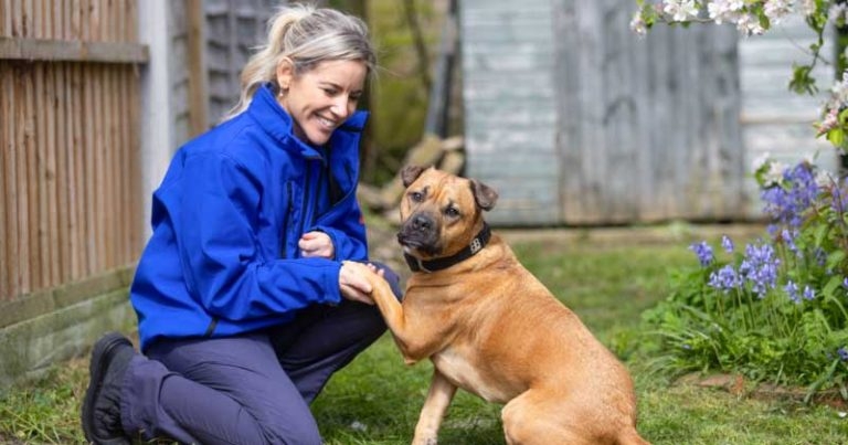 RSPCA issues summer cruelty plea following case jump