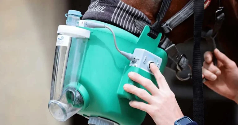 Optimising equine respiratory health through routine nebulisation