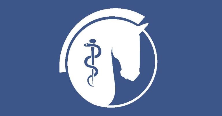 BEVA Trust showcases ongoing work during congress