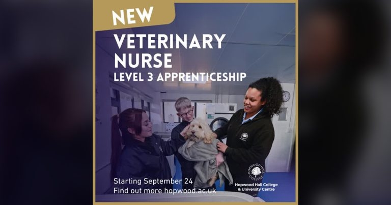 New VN apprenticeship will boost profession, college claims