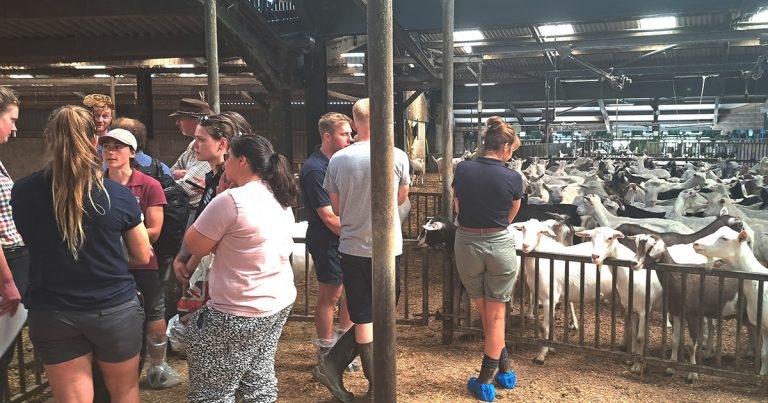 Dinner, dairy goat unit tour and discussion for delegates