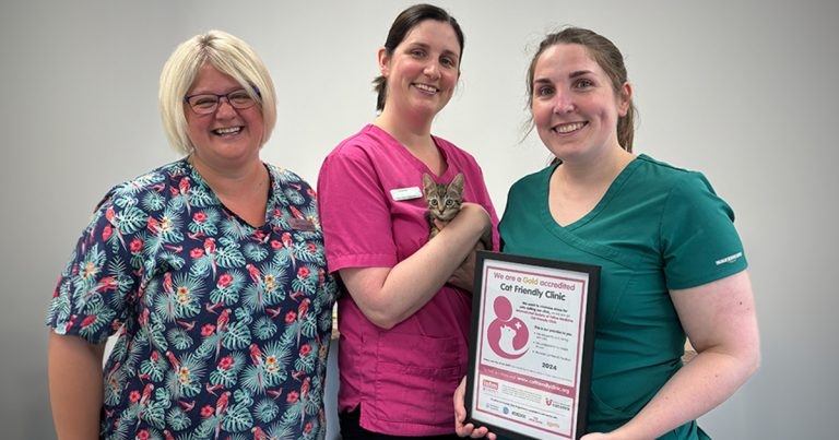 Golden double for Cardiff clinic with top cat recognition